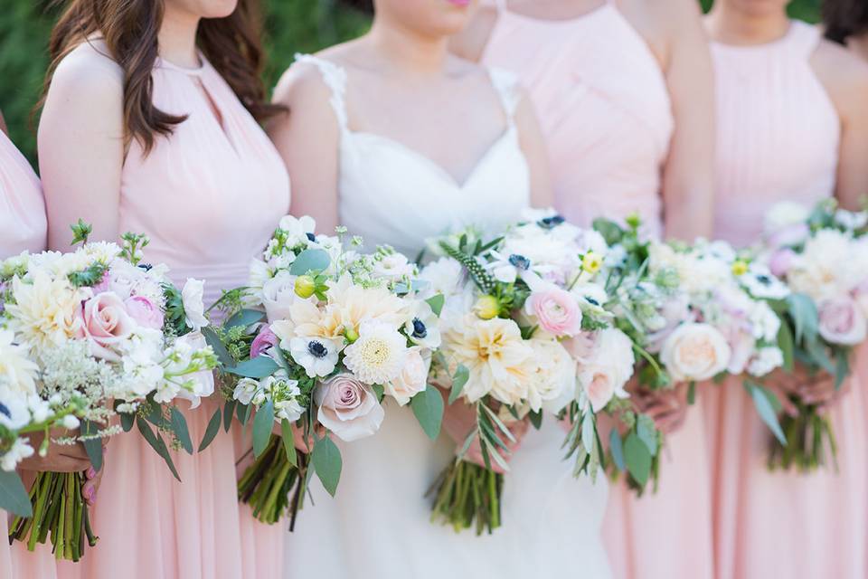 Cassady K Photography
