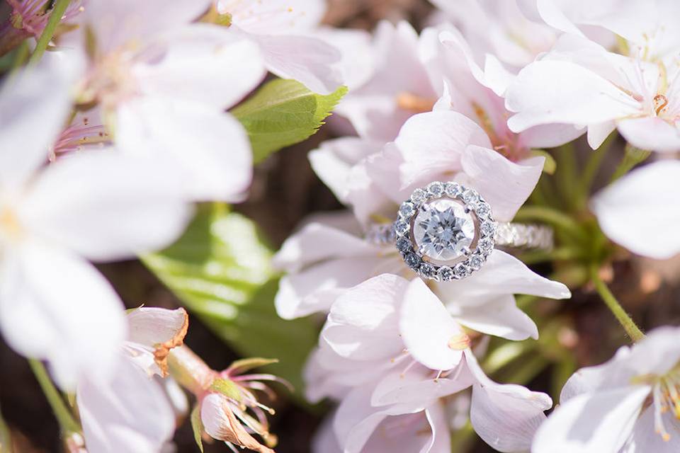 Cassady K Photography