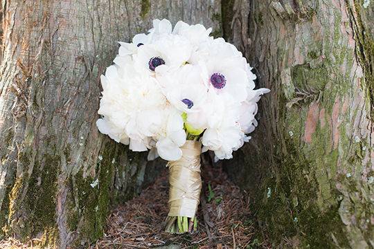 Cassady K Photography