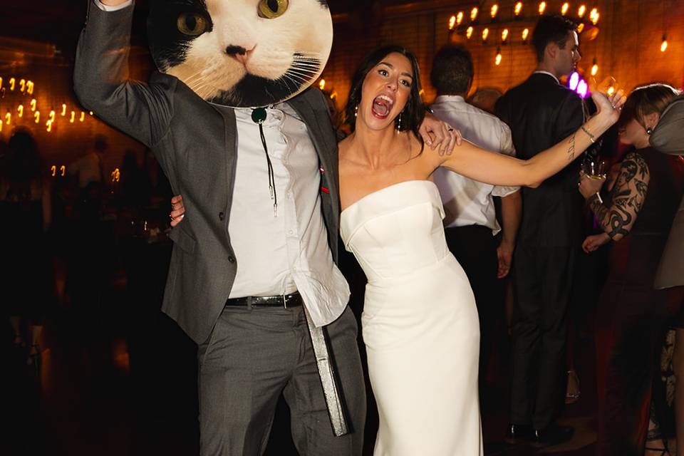 The cat came to party!