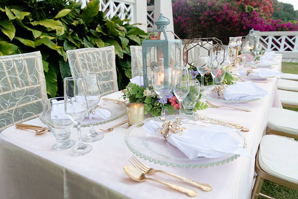 Table Setting/Decor