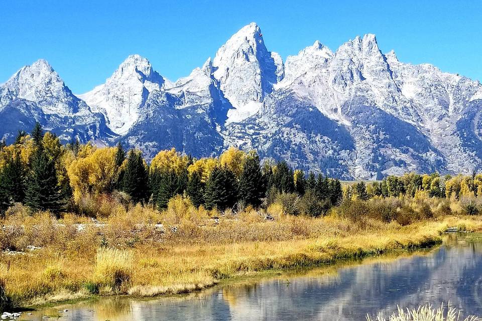 Schwabacher Landing