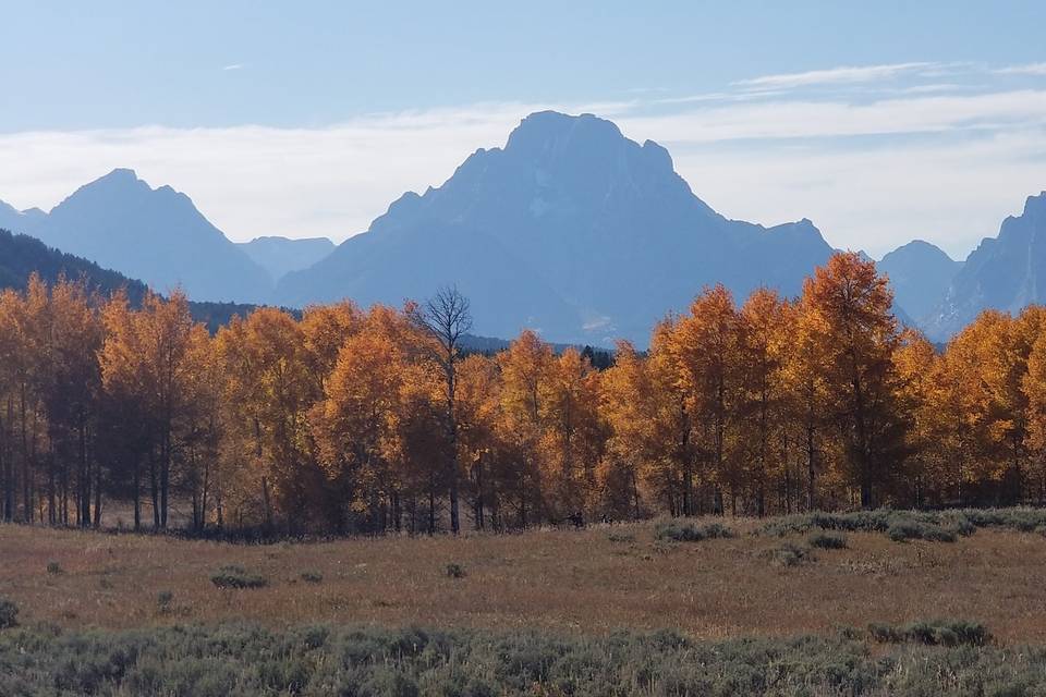 The Grand Tetons