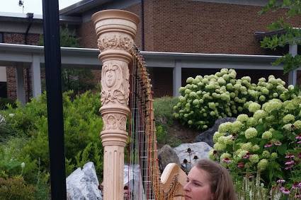 The harpist