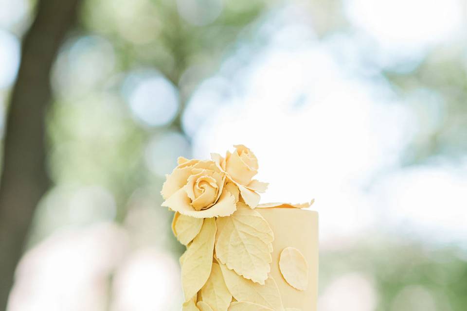 Yellow rose petals