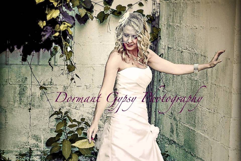 Dormant Gypsy Photography