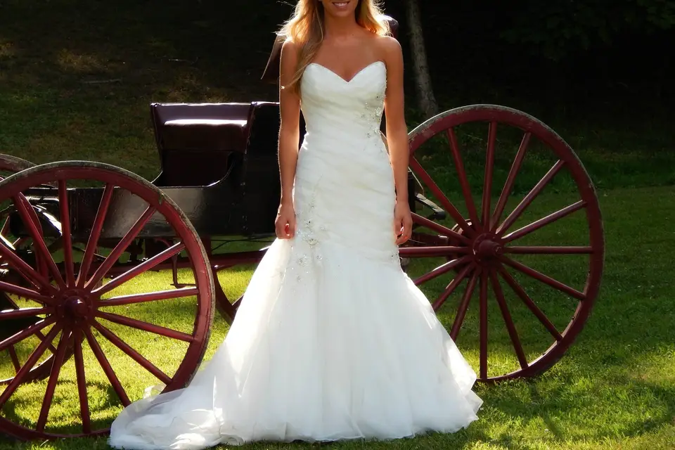 The Rose Tree Boutique Dress Attire Ceredo WV WeddingWire