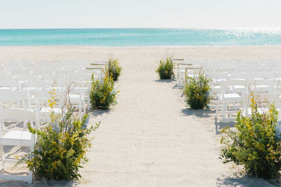 Beach Dreams