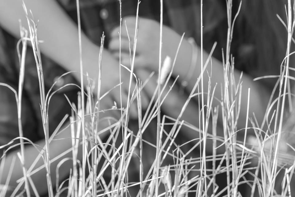 Malik Sharp Photography & Film