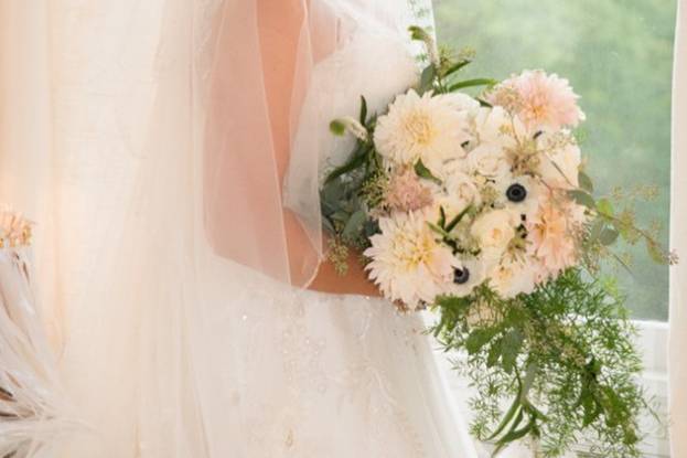 Deborah K. O'Brien Photographer