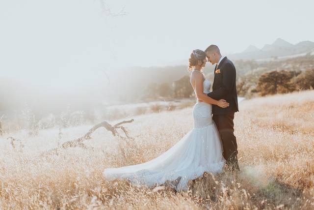 AshtonImagery