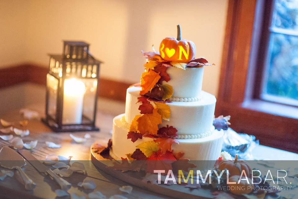 Tammy LaBar Weddings