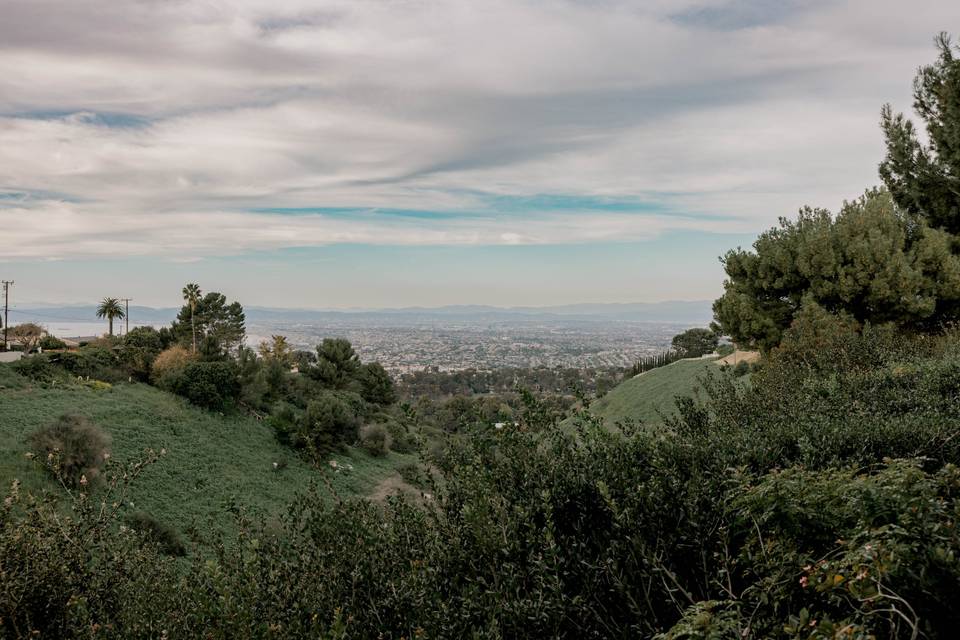 Ocean Canyon Overview