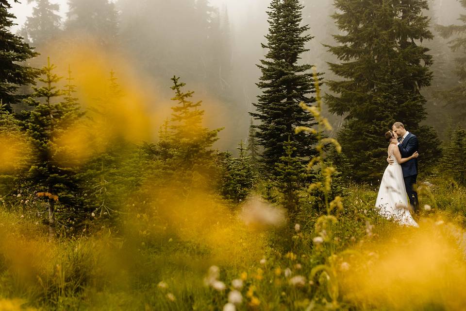 Mt. rainier elopement