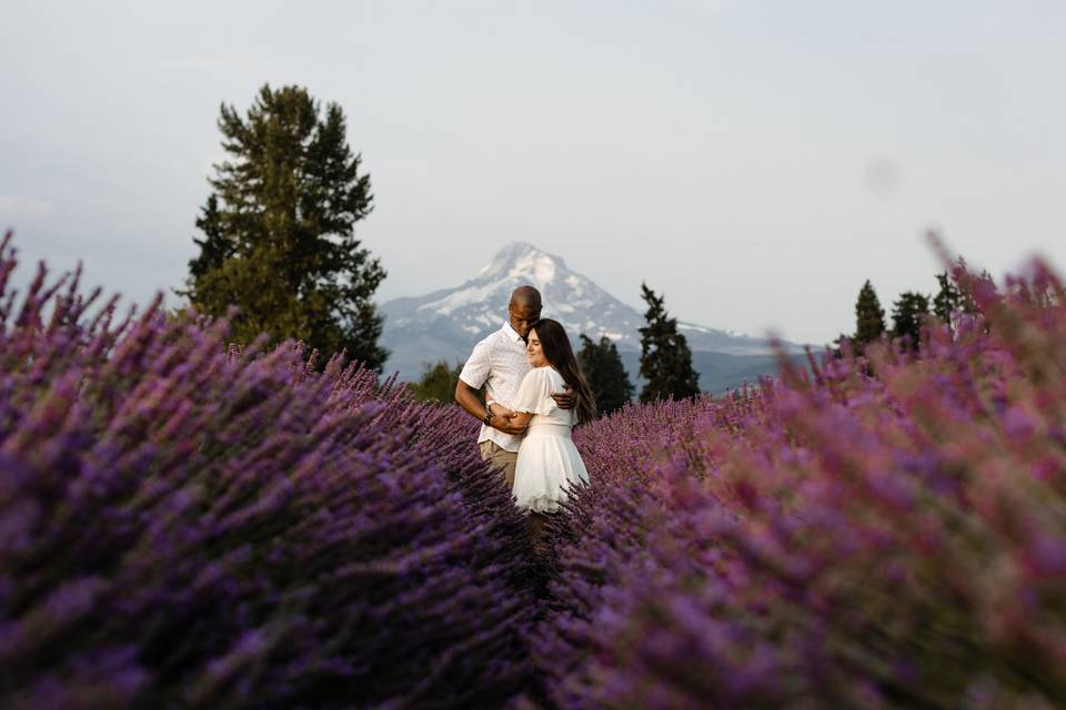 Lavender field elopement