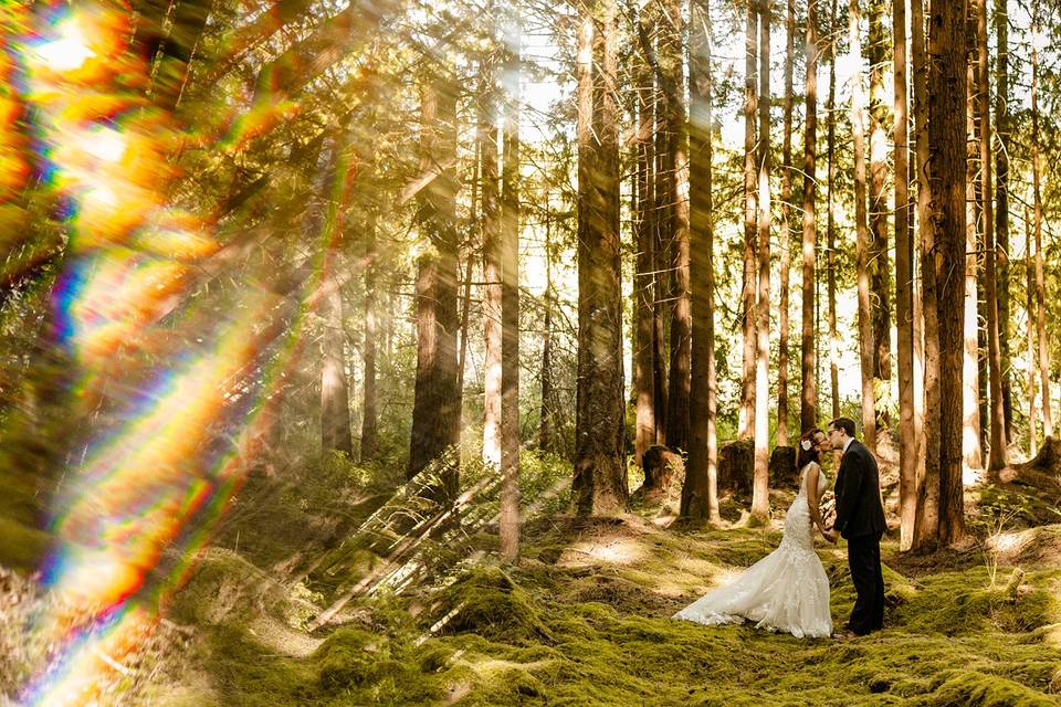 Emerald forest elopement