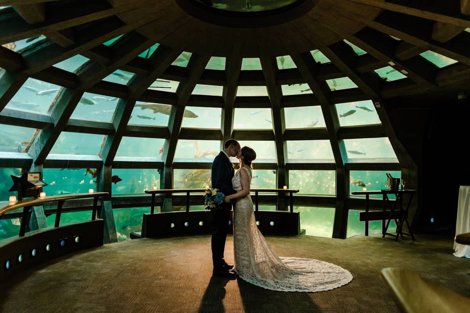 Seattle aquarium wedding
