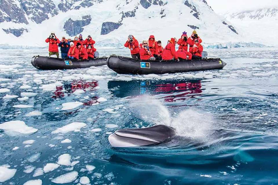 Whale watching Antarctica