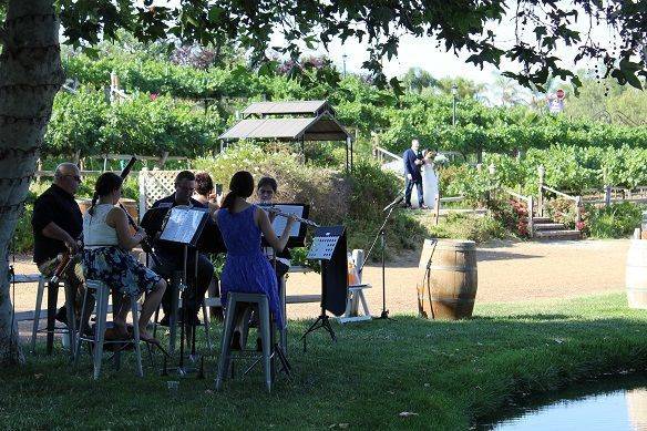 Wedding at Lake Oak Meadows