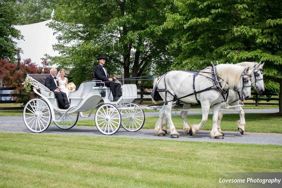 Wedding carriage