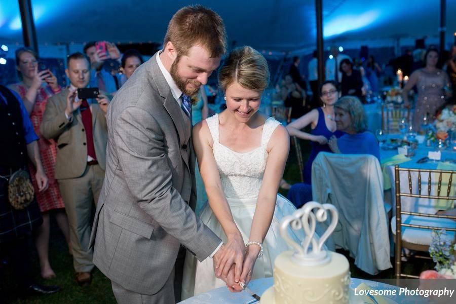 Cake cutting