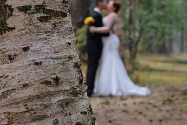 SM Photography