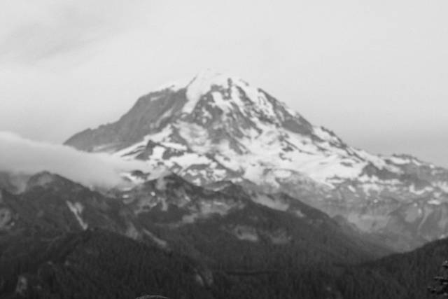 Mt. Rainier Vow Exchange