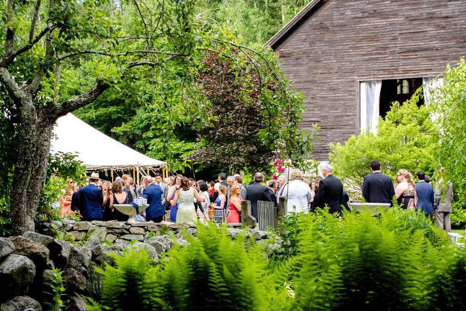 Cocktails on the lawn