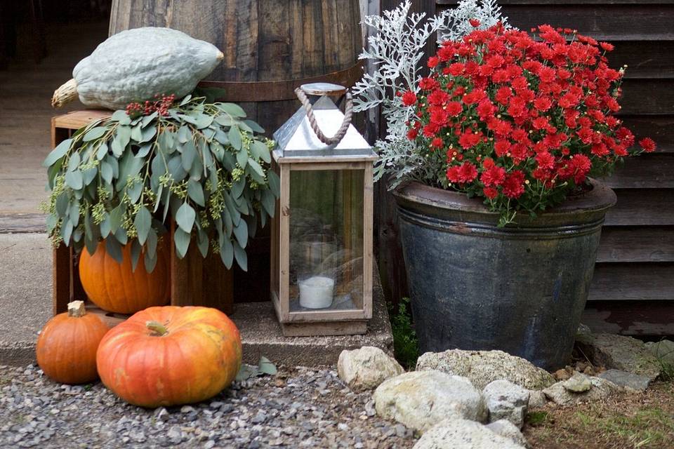 Fall Decorations