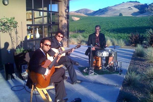 Trio Paz at an elegant event in the Wine Counrty