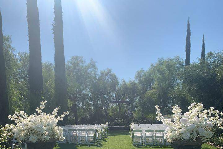 Back-of-the-Aisle