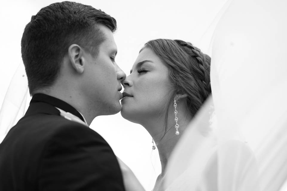 Black and White Newly Wed Veil