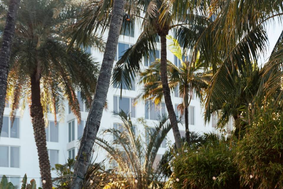 Tropical floral dreamscape