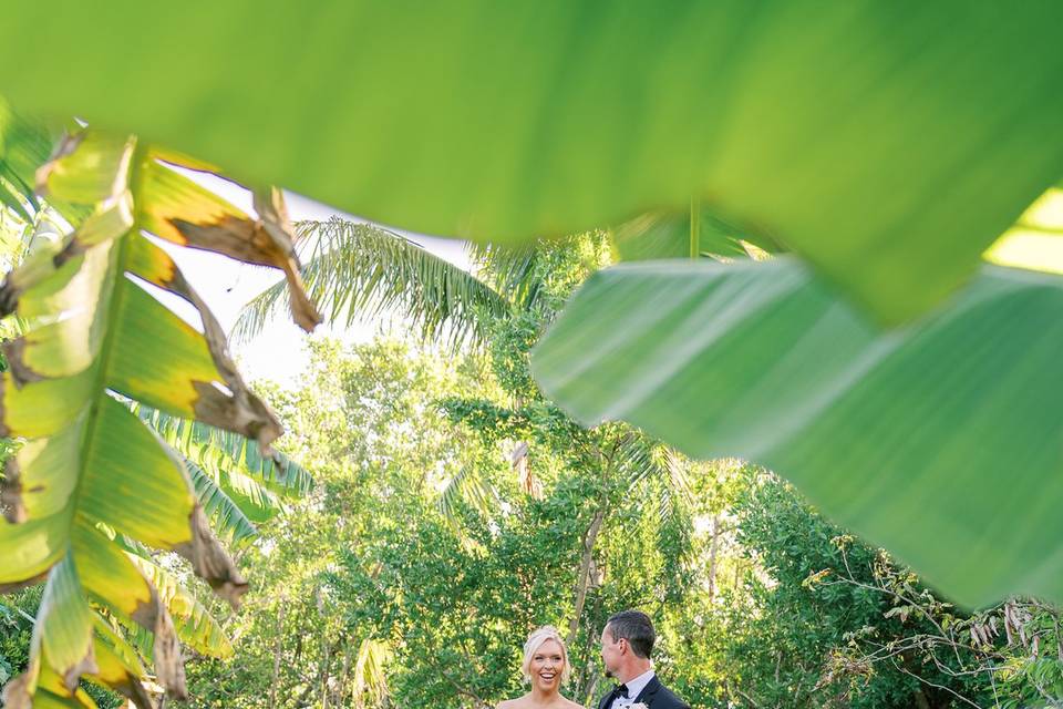 Tropical Garden Soirée
