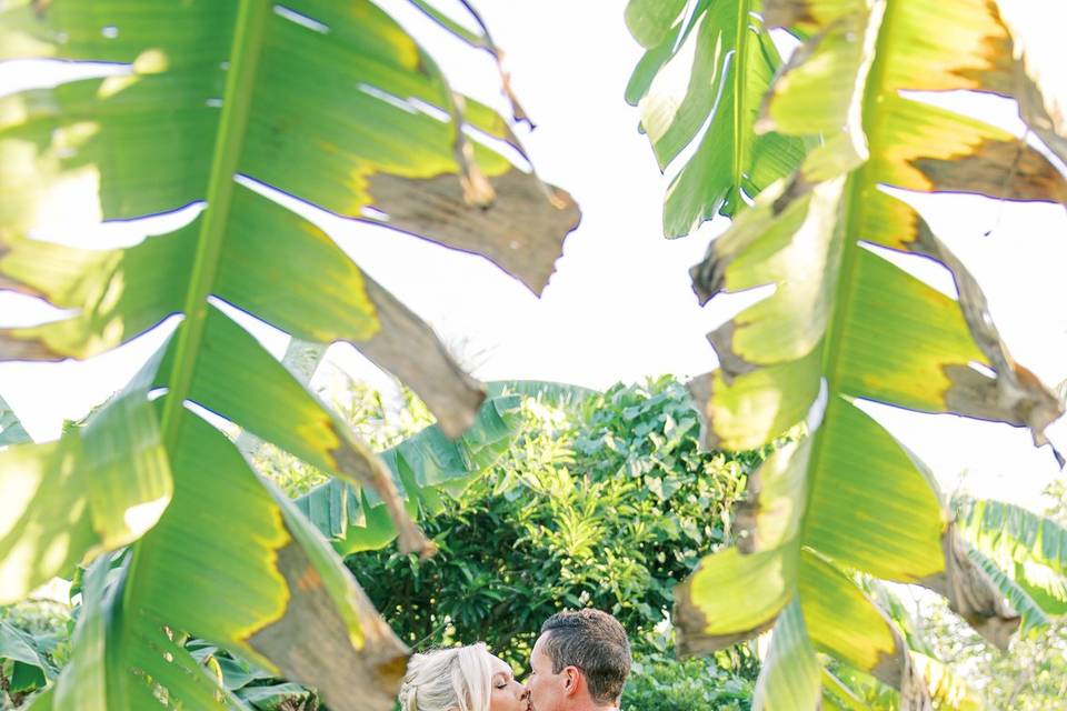 Tropical Garden Soirée