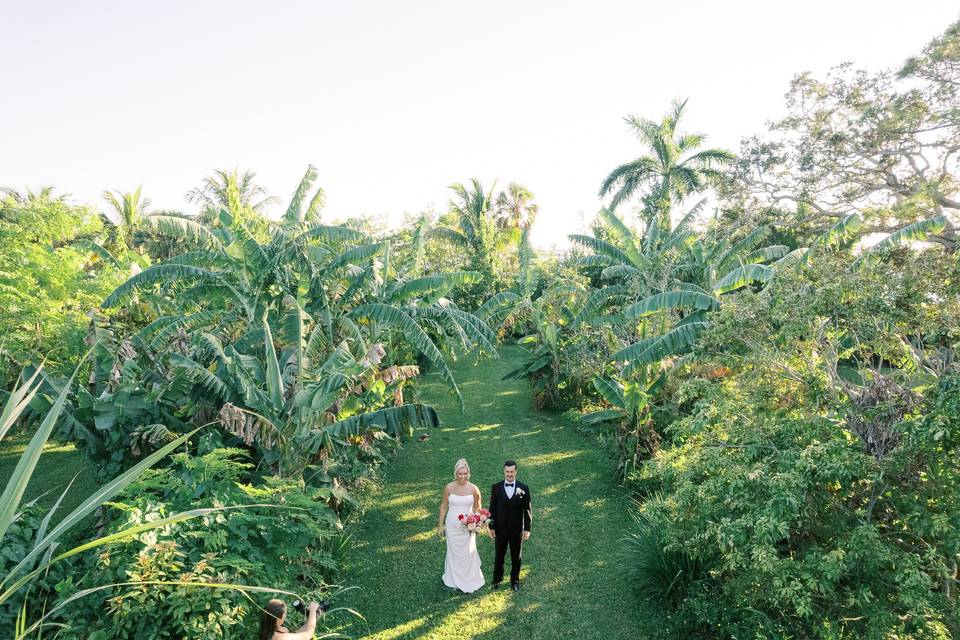 Tropical Garden Soirée