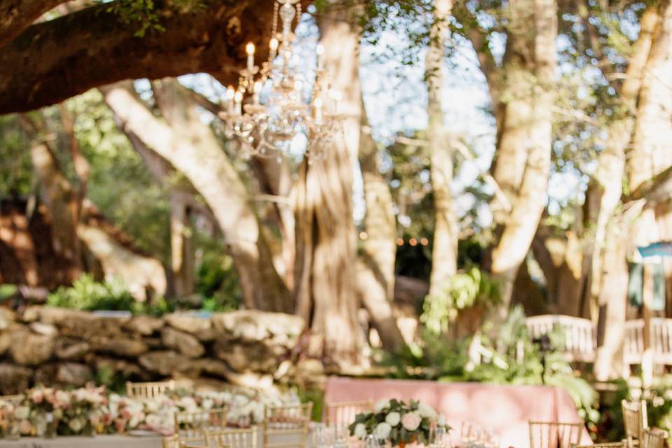 Wedding Planner & Event Coordination - Sarasota - Tampa - Miami, Florida -  Jennifer Matteo Event Planning