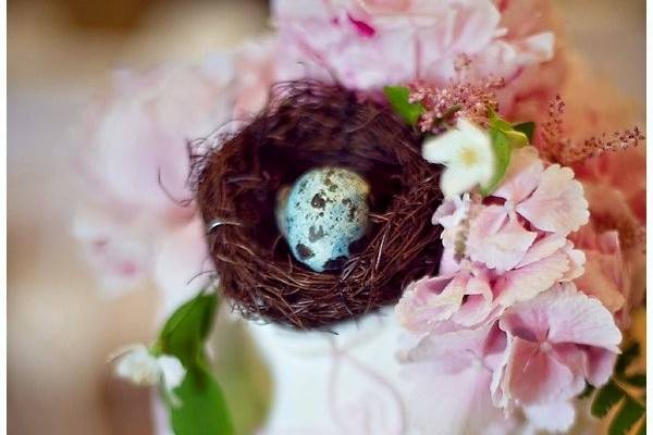 Lovely birds nest cake