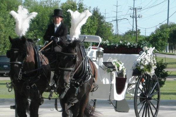 Threejays Carriages