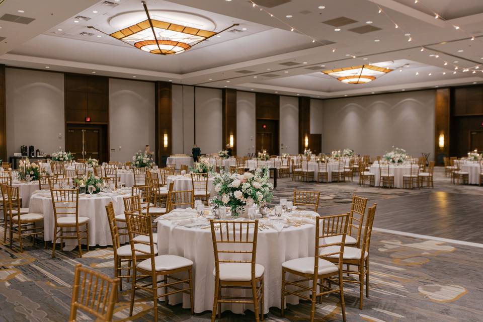 Coral Reception