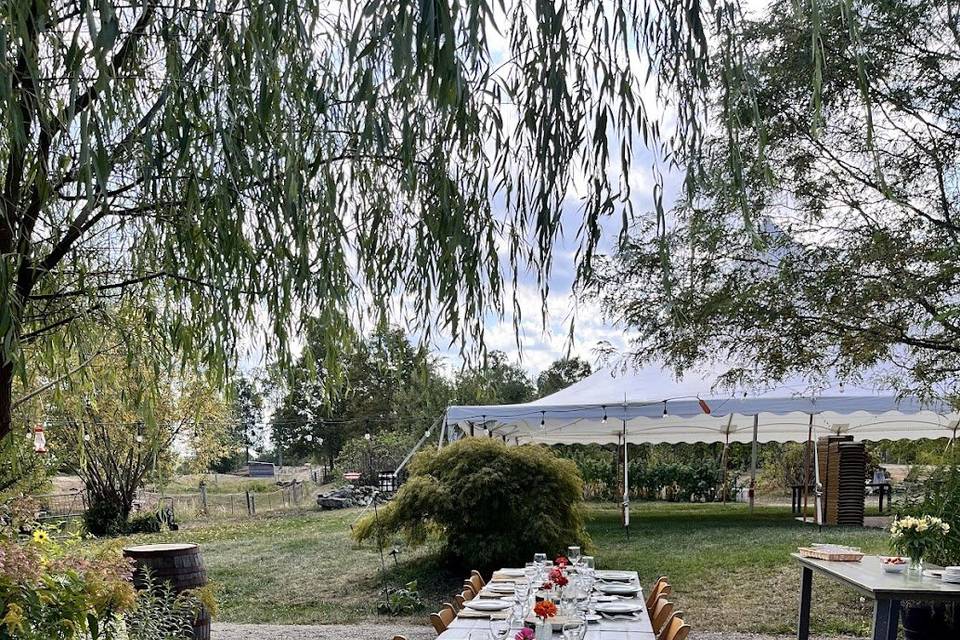 Farm Tables on Patio