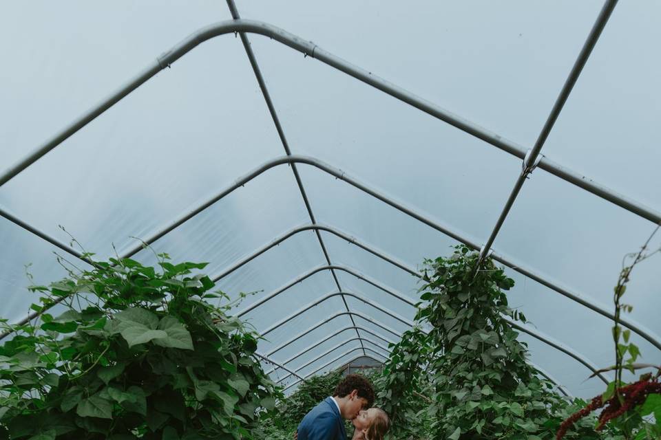 High Tunnel