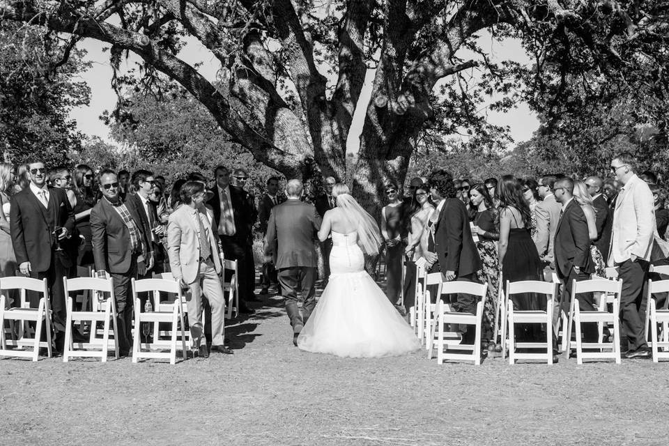 A Rockefeller Wedding Photography