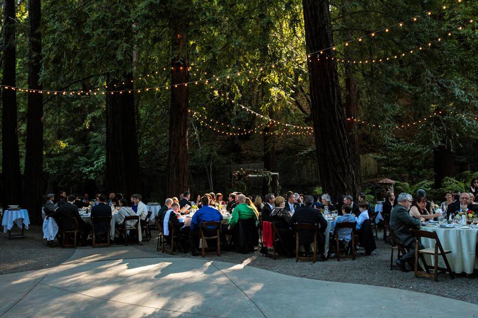 A Rockefeller Wedding Photography