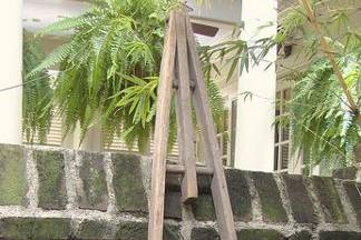 vintage orchard ladder