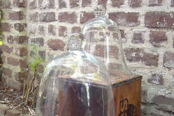 vintage & antique glass cloche