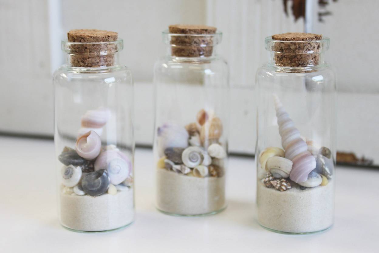 Small Seashells for Sale - Sea Shell Crafts - California Seashell