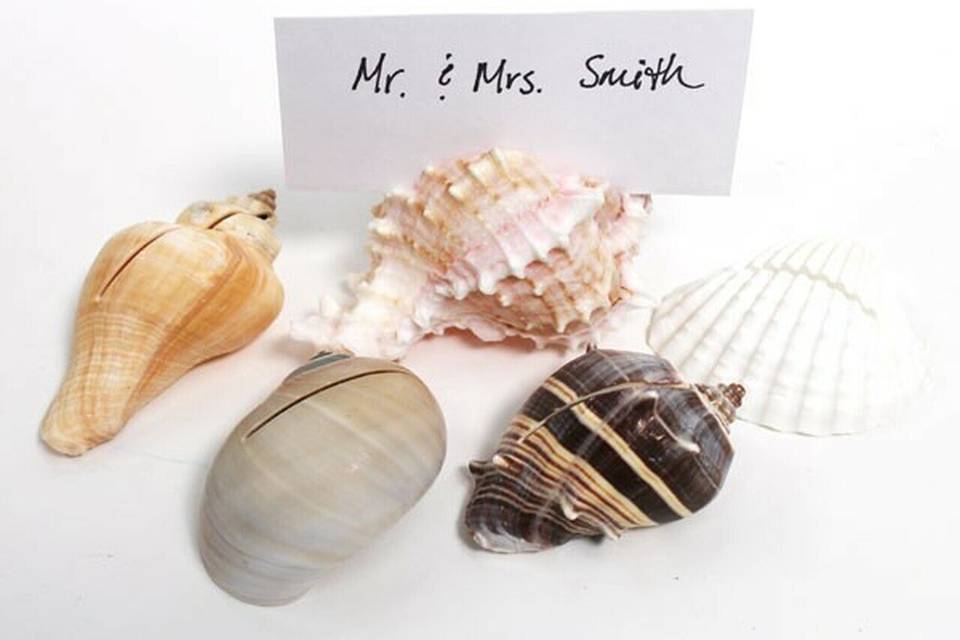 Seashell place card holders
