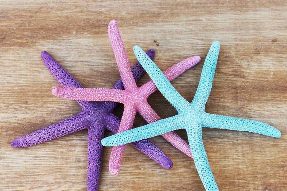 Colored starfish