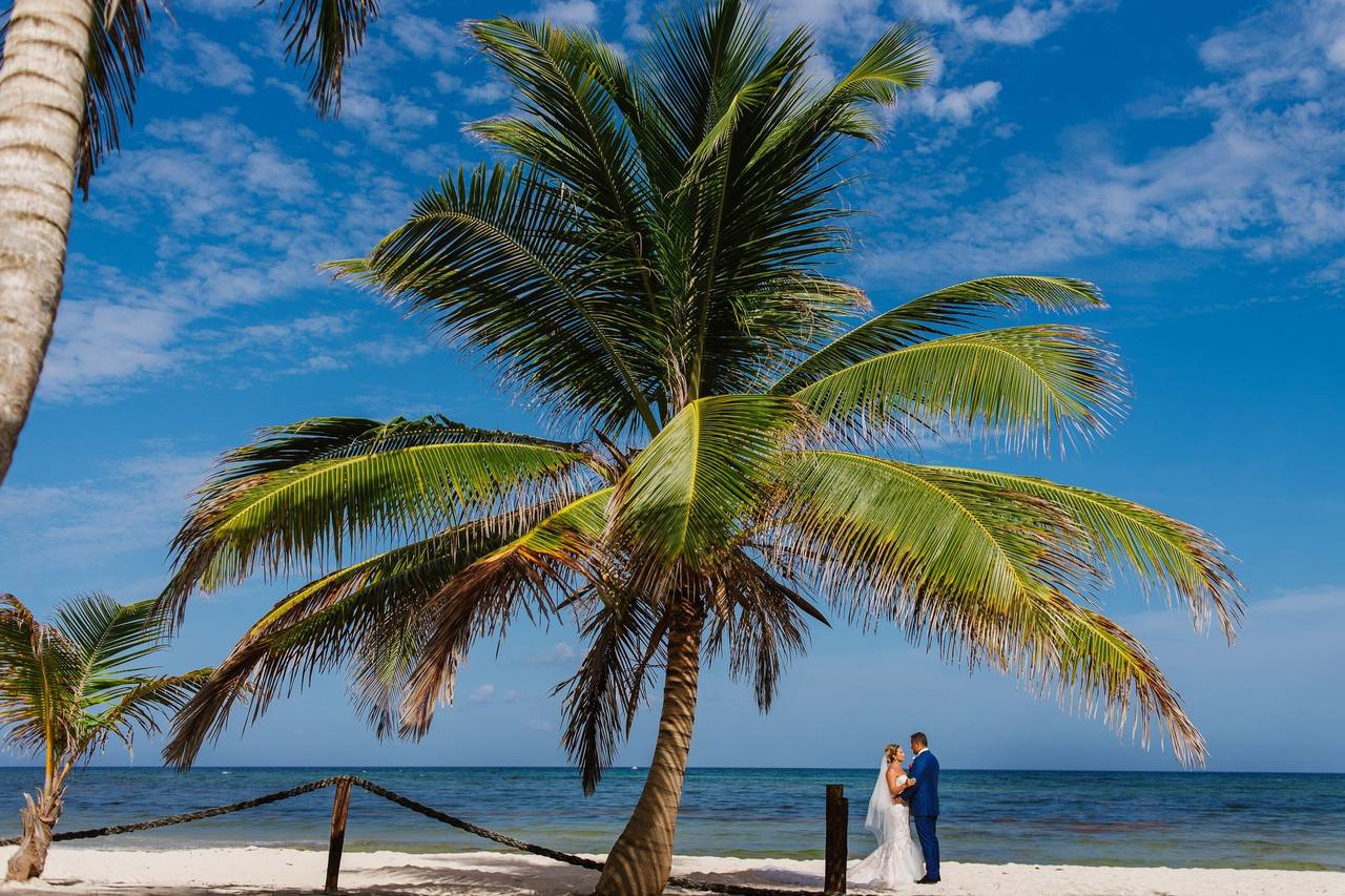 Reasons to Hire a Wedding Planner for your Big Day - Villa del Palmar  Cancun News